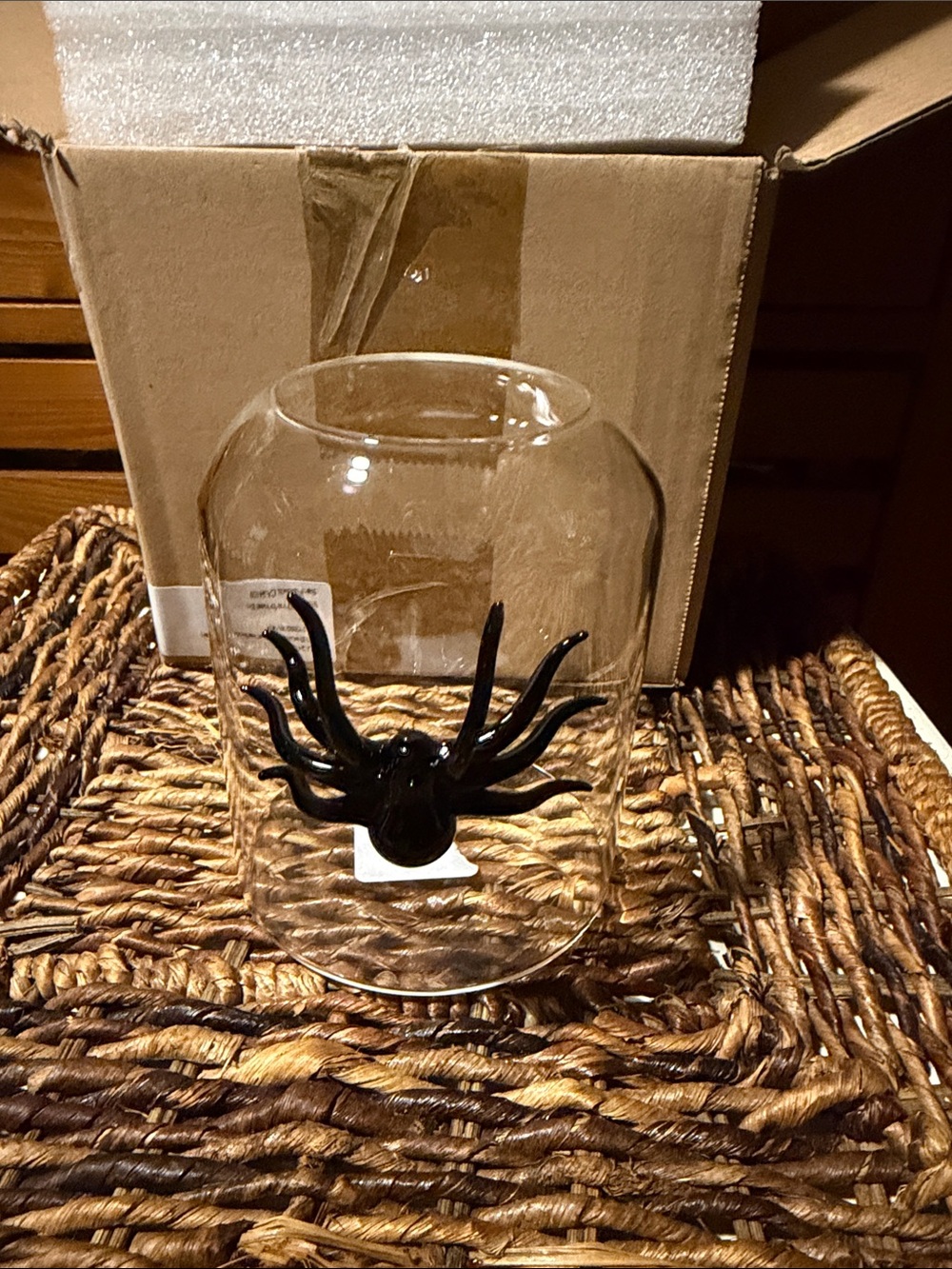 West Elm Clear Glass Dome Bud Vase with Black Spider 🕷️ Accent BBIB - Picture 5 of 6